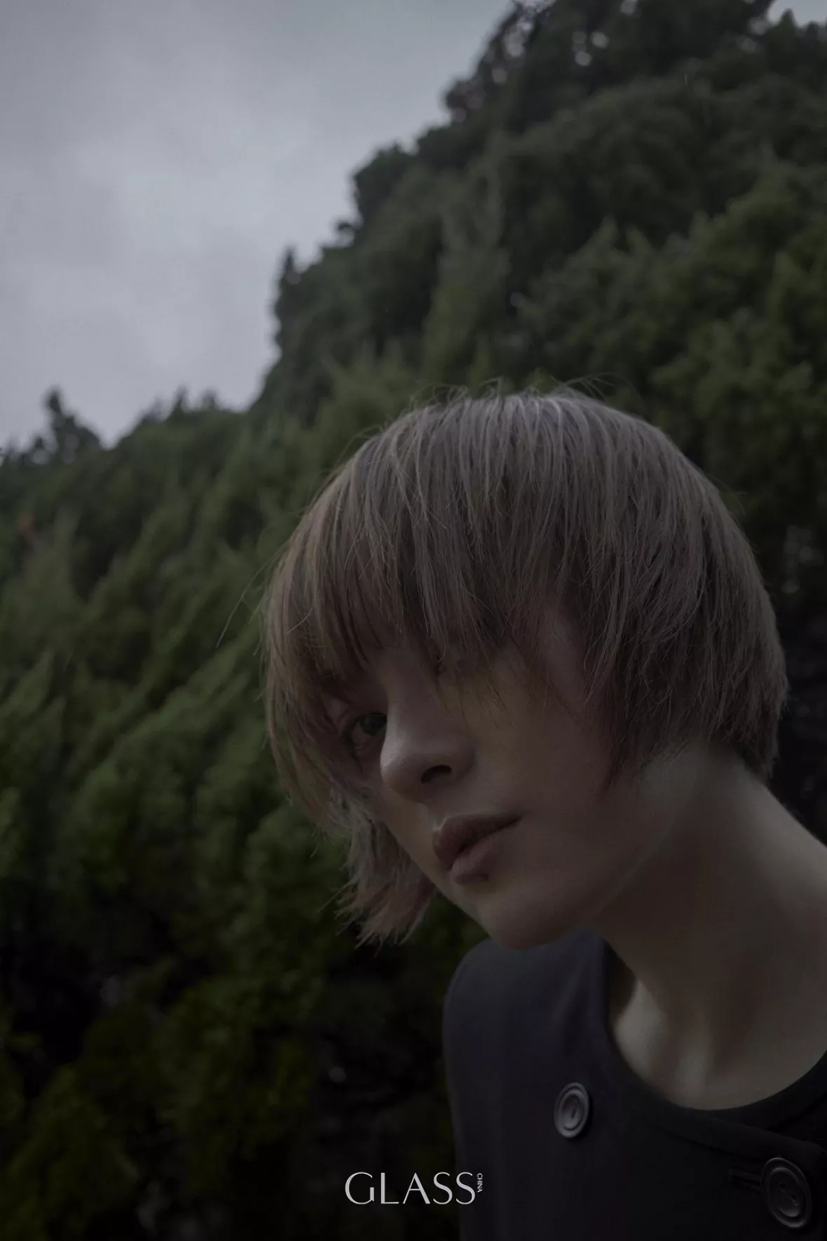 スン・リー（孫儷）