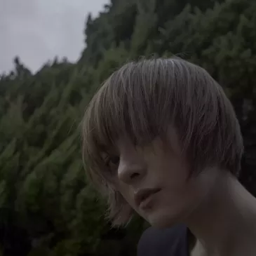 スン・リー（孫儷）