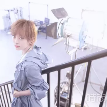スン・リー（孫儷）