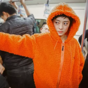 スン・リー（孫儷）