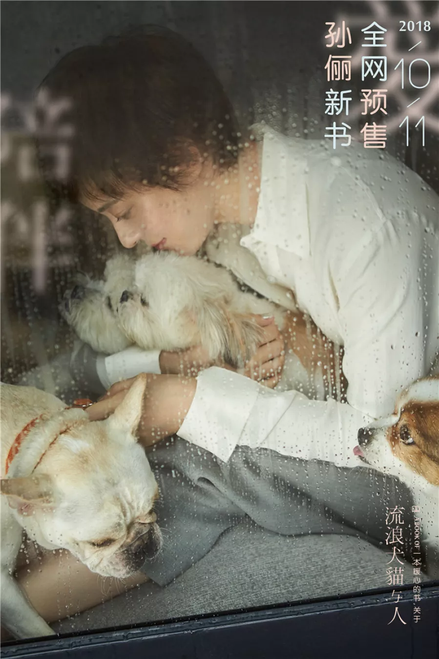スン・リー（孫儷）