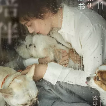 スン・リー（孫儷）