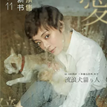 スン・リー（孫儷）