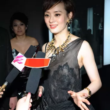 スン・リー（孫儷）