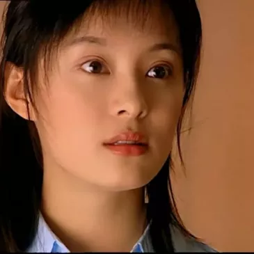 スン・リー（孫儷）