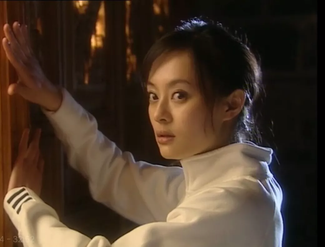 スン・リー（孫儷）