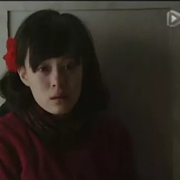 スン・リー（孫儷）