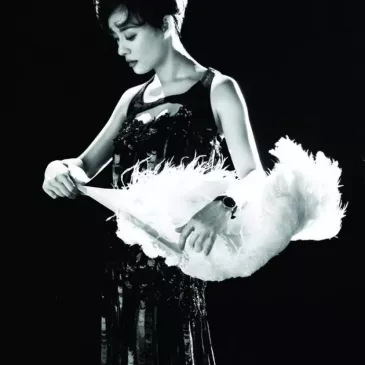 スン・リー（孫儷）