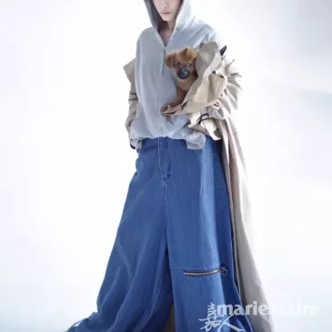 スン・リー（孫儷）