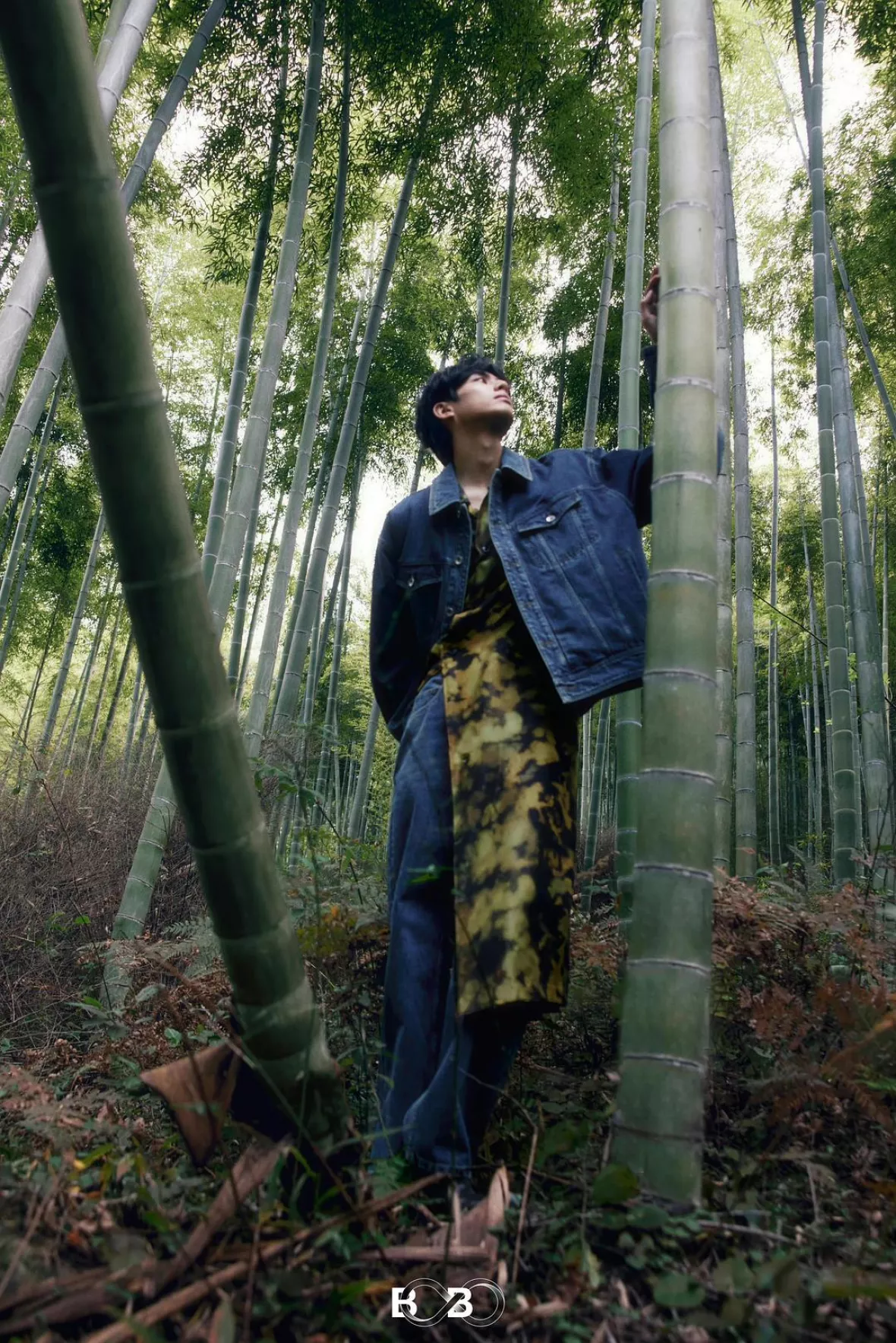 ソン・ウェイロン（宋威龍 ） 