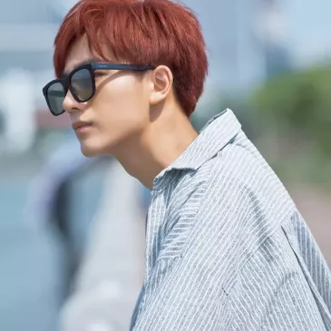リー・ホンイー（李宏毅）