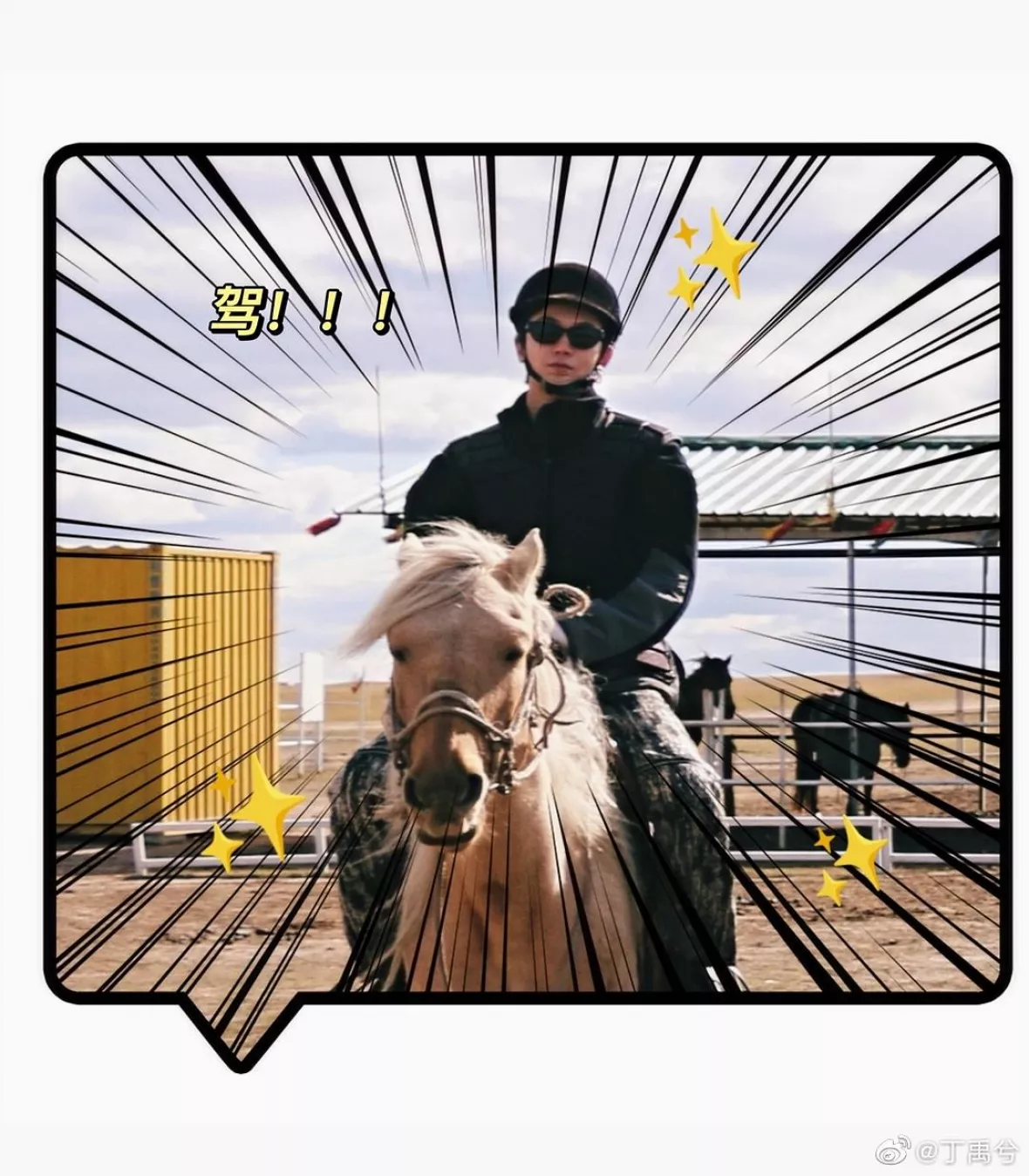 ディン・ユーシー（丁禹兮）