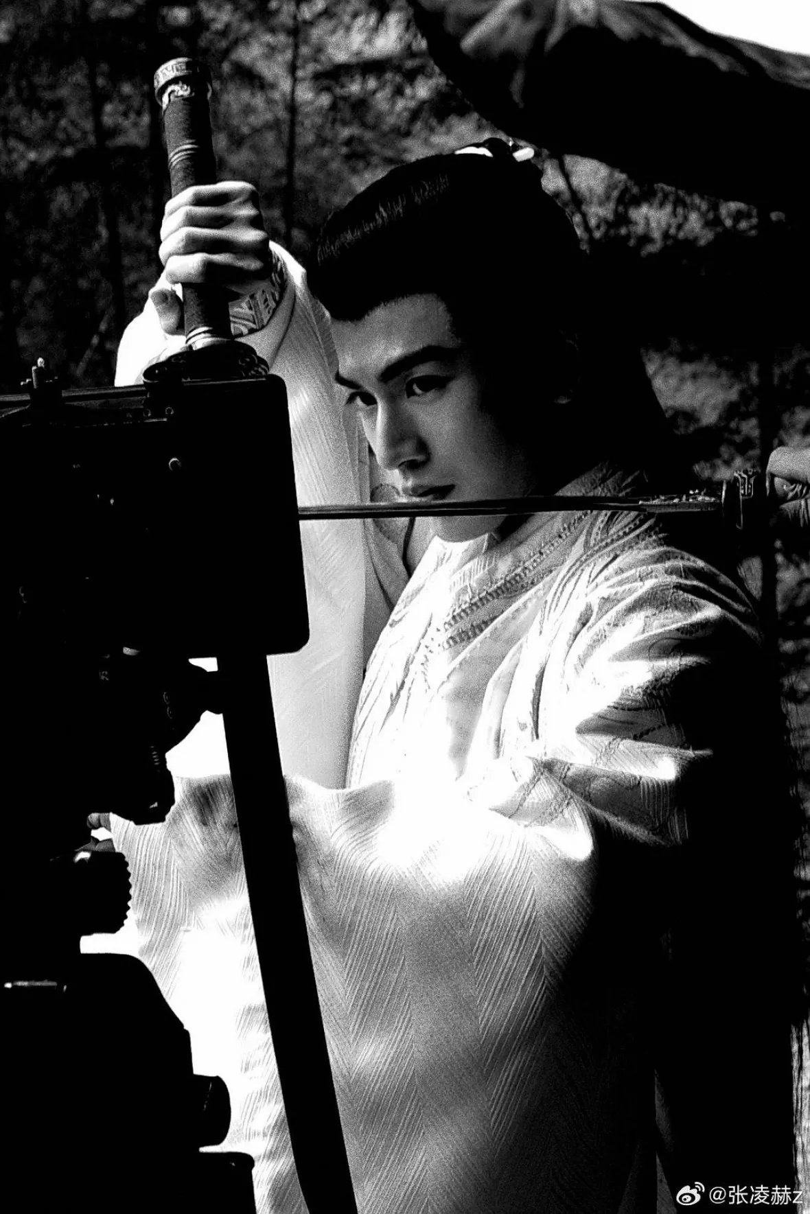 ジャン・リンホー（张凌赫）