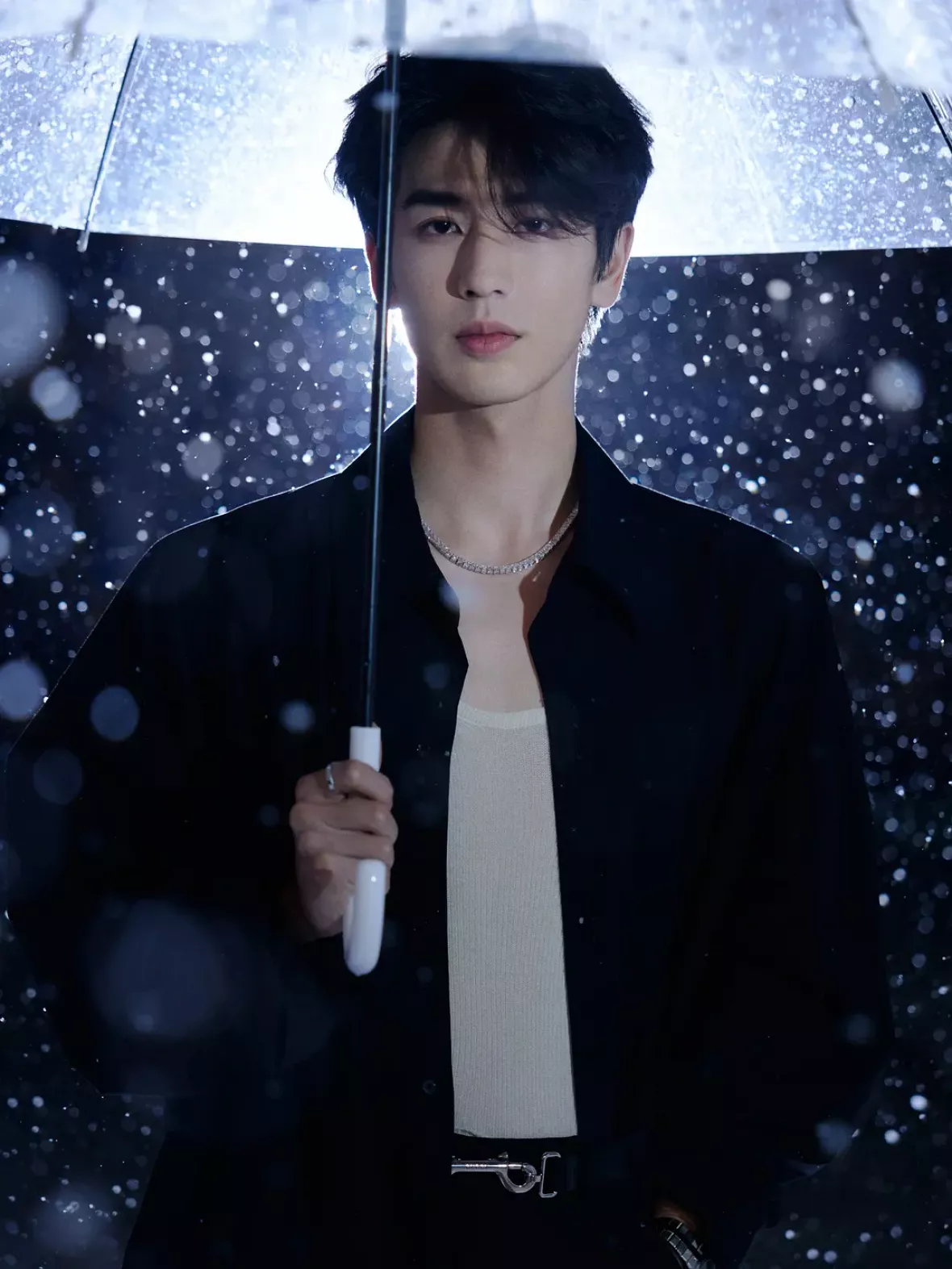 チャン・リンホー（張凌赫） 