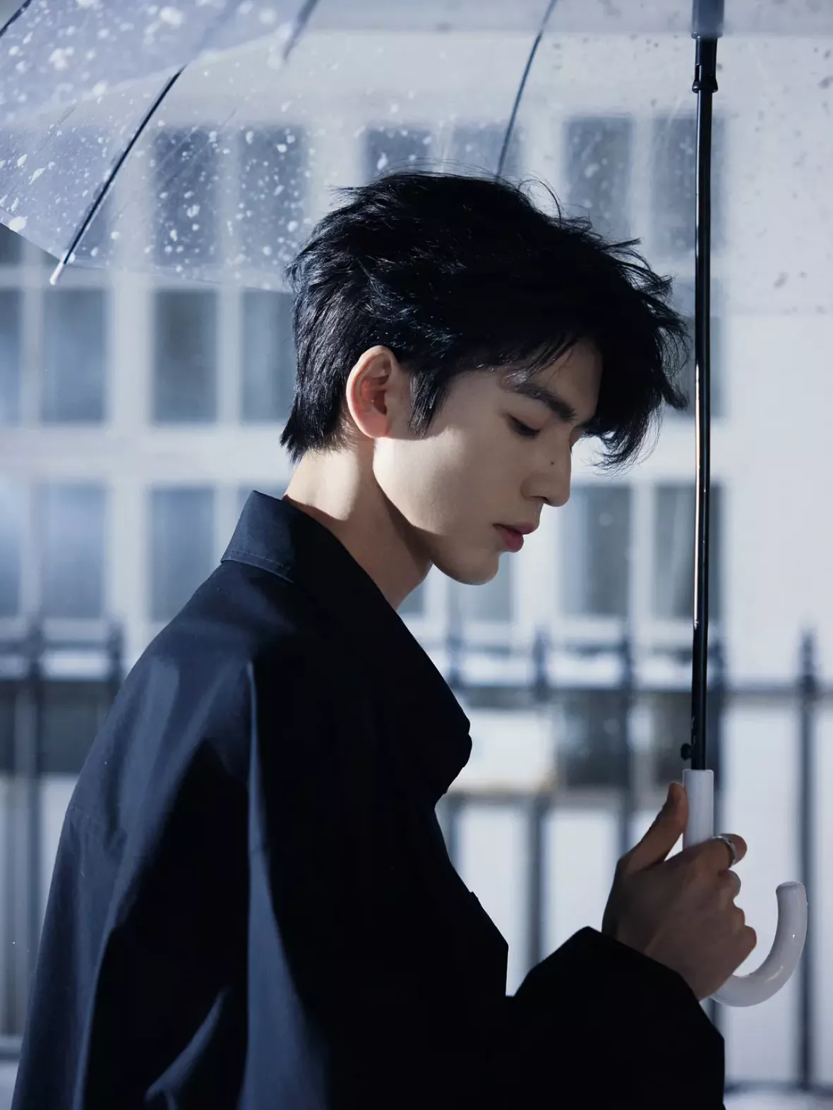 チャン・リンホー（張凌赫） 