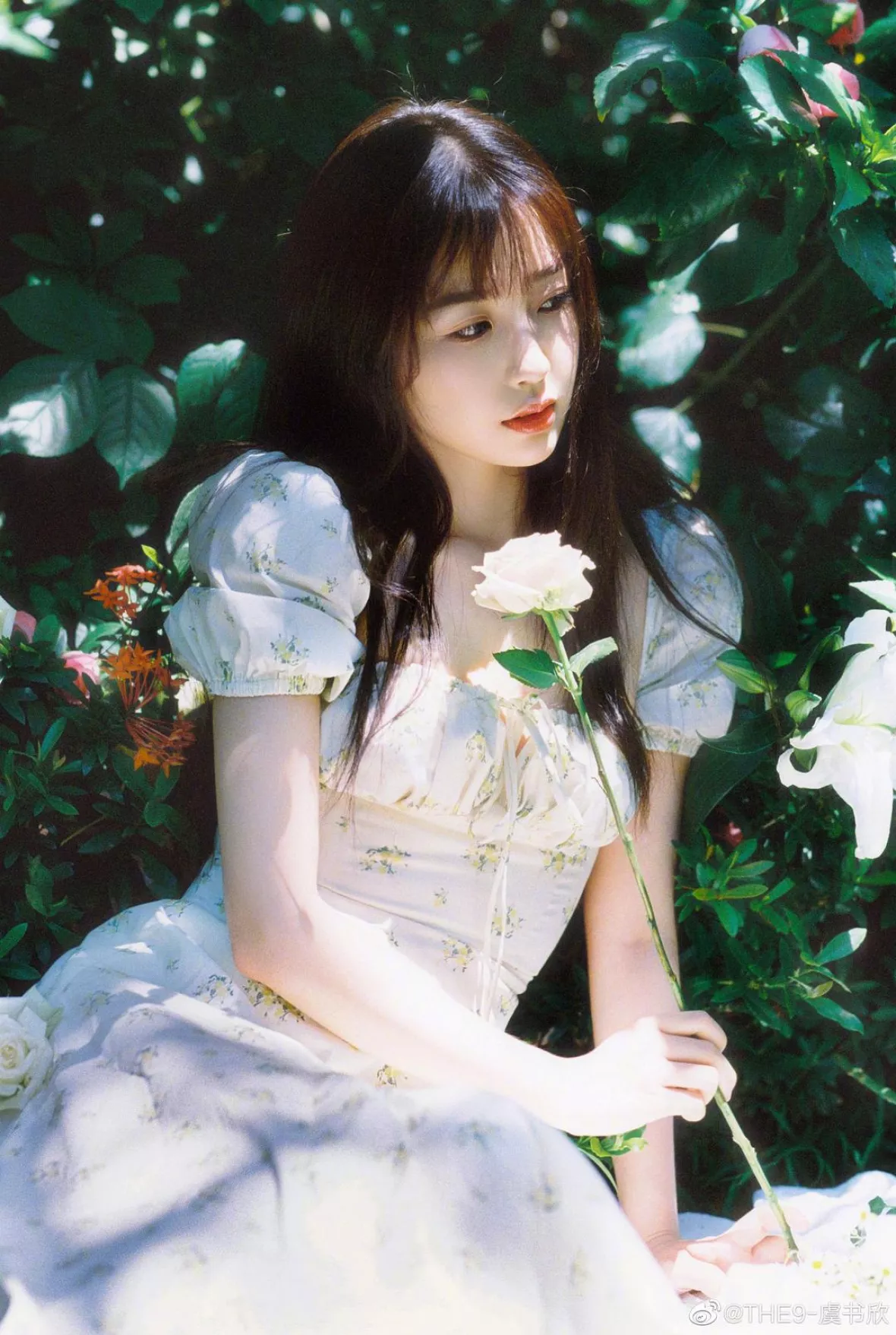 ユー・シューシン（虞書欣）