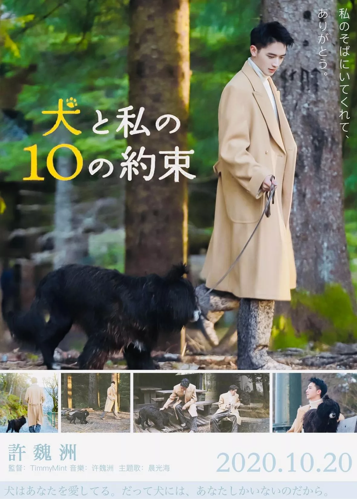 ティミー・シュー（許魏洲）