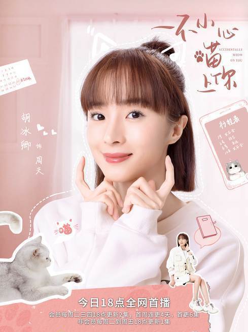 一不小心喵上你-周天