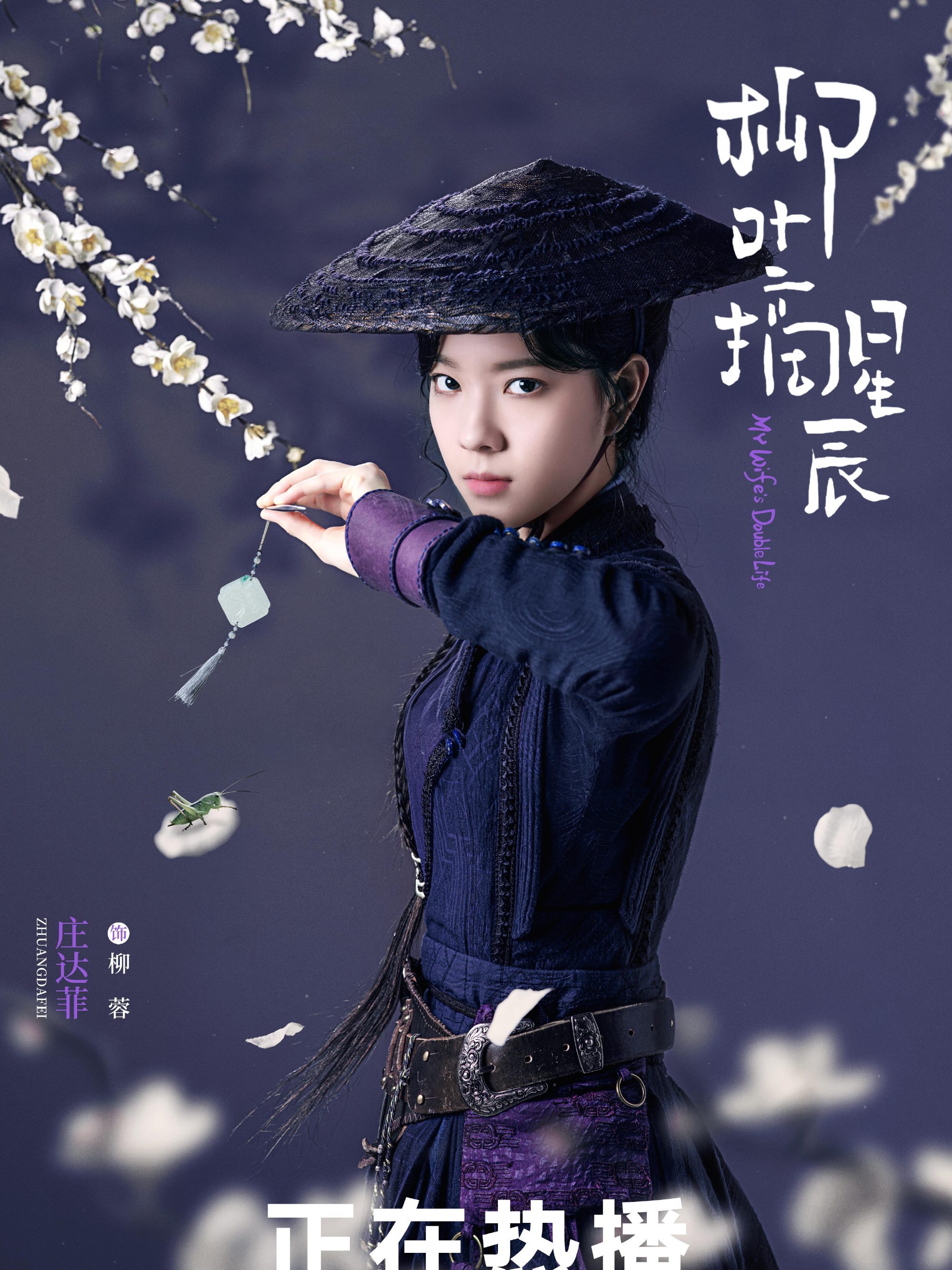 柳葉摘星辰