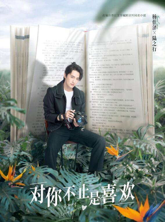 對你不止是喜歡-陸之行