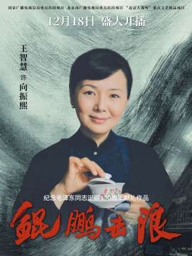 鯤鵬擊浪-向振熙
