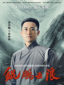鯤鵬擊浪-蔡和森