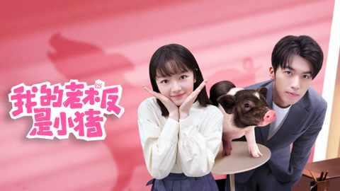 我的老闆是小豬