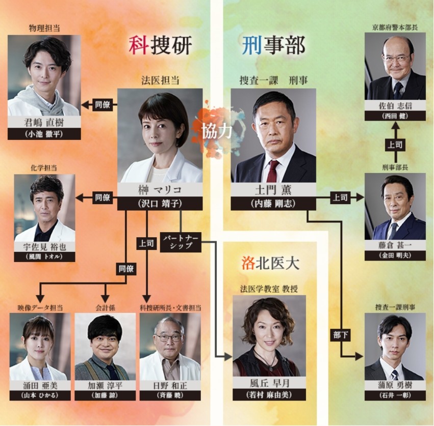 科搜研之女 第24季人物關係圖
