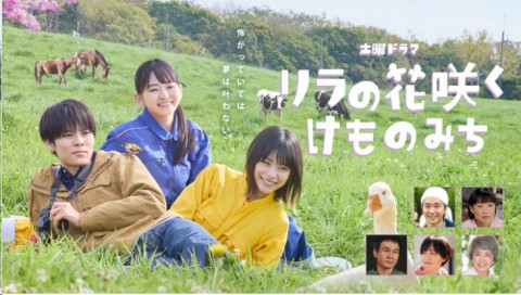 丁香花開的獸道