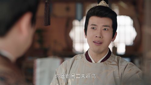 相思令第11集