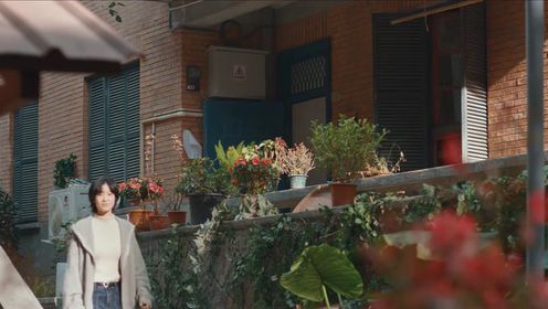 樹下有片紅房子第30集