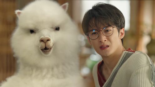濾鏡第27集