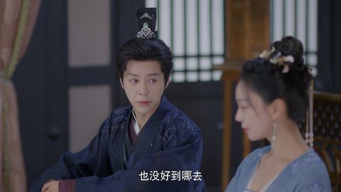 春來定風波第13集