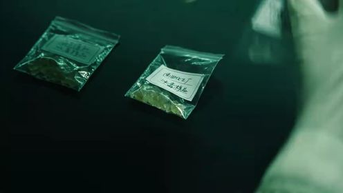 The Narcotic Operation: Episode 22