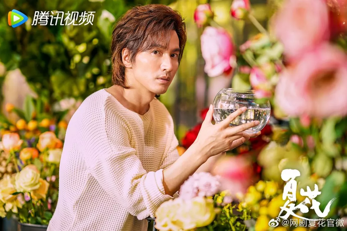 夏花スチール写真