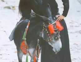 陳情令スチール写真