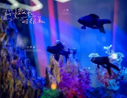 君の笑顔にメロメロスチール写真