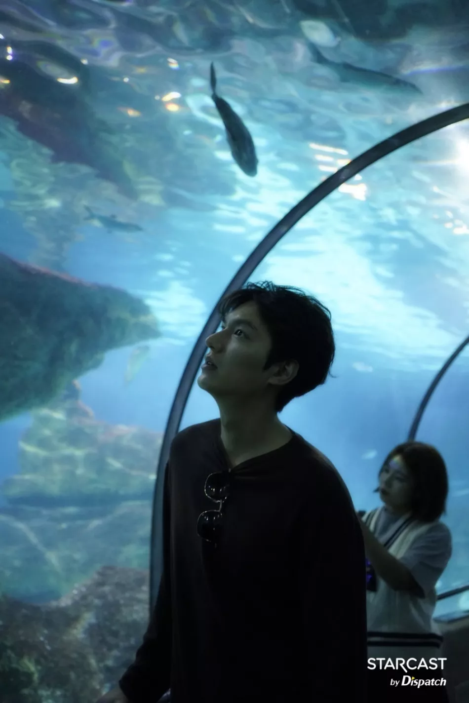 青い海の伝説スチール写真