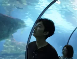 青い海の伝説スチール写真