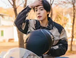 純情ボクサースチール写真