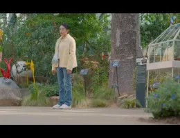 純情ボクサー