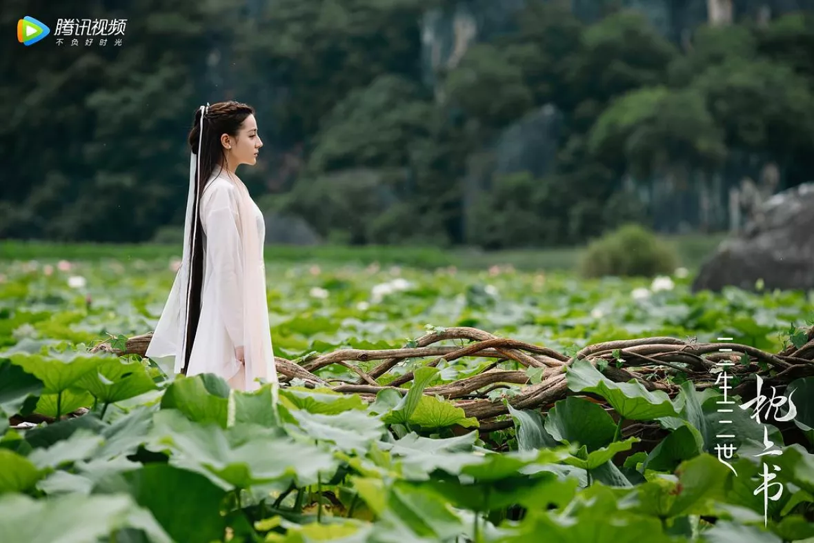 夢幻の桃花～三生三世枕上書～スチール写真