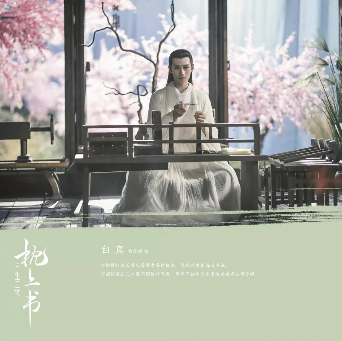 夢幻の桃花～三生三世枕上書～スチール写真