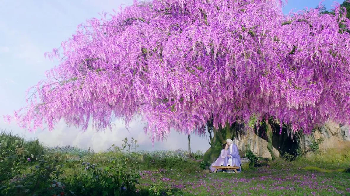 夢幻の桃花～三生三世枕上書～スチール写真