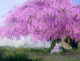 夢幻の桃花～三生三世枕上書～スチール写真