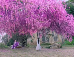 夢幻の桃花～三生三世枕上書～スチール写真