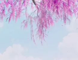 夢幻の桃花～三生三世枕上書～スチール写真