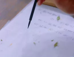 夢幻の桃花～三生三世枕上書～壁紙
