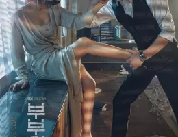 夫婦の世界ポスター