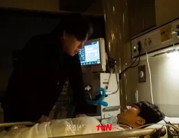 ブラインドスチール写真
